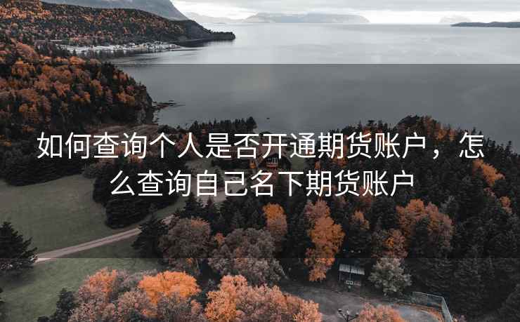 如何查询个人是否开通期货账户，怎么查询自己名下期货账户