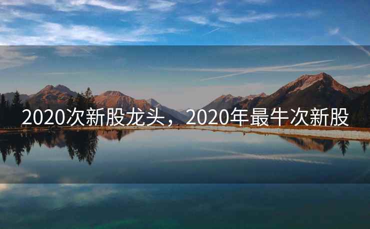 2020次新股龙头，2020年最牛次新股  第2张
