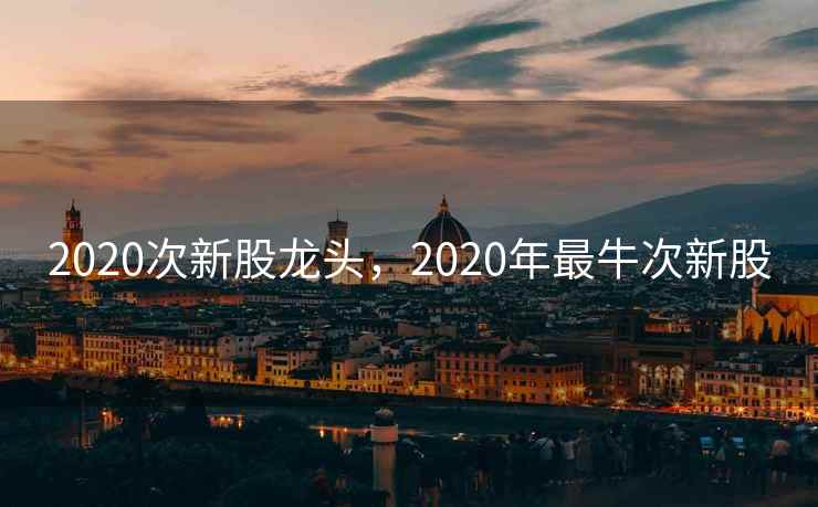 2020次新股龙头，2020年最牛次新股  第1张