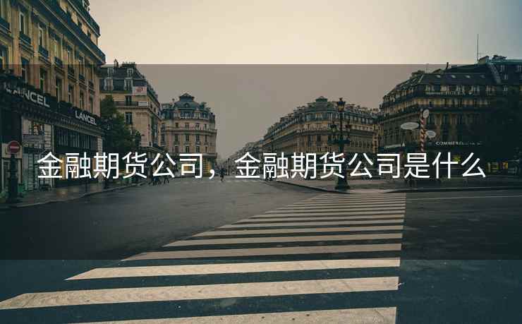 金融期货公司，金融期货公司是什么