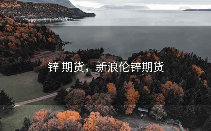 锌 期货，新浪伦锌期货
