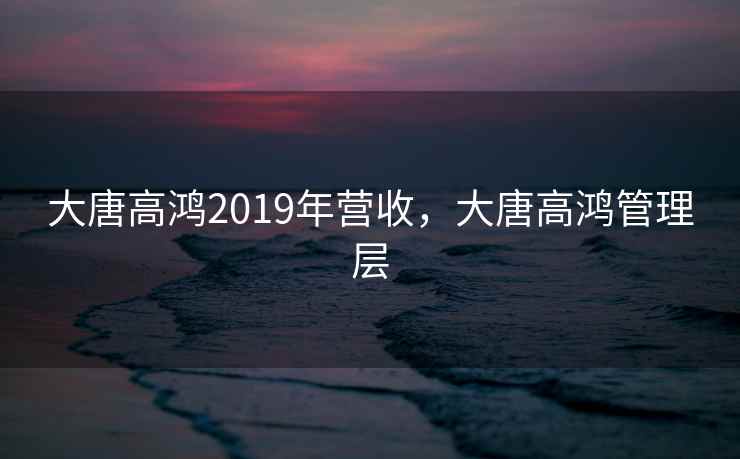 大唐高鸿2019年营收，大唐高鸿管理层  第2张