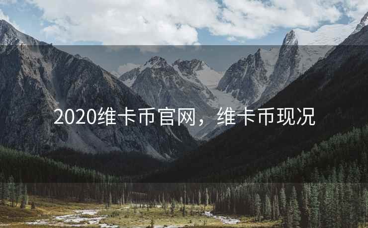 2020维卡币官网,维卡币现况 第1张 2020维卡币官网,维卡币现况 第1张