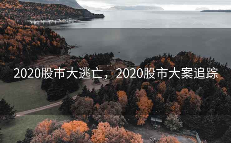 2020股市大逃亡，2020股市大案追踪