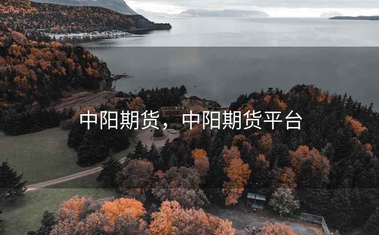 中阳期货，中阳期货平台