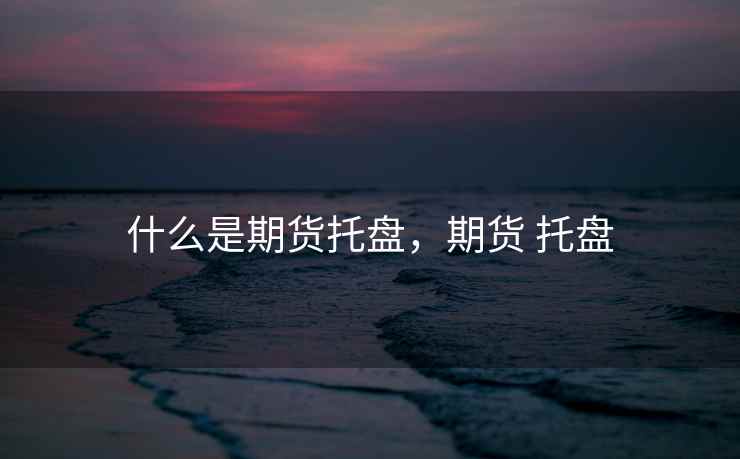 什么是期货托盘，期货 托盘