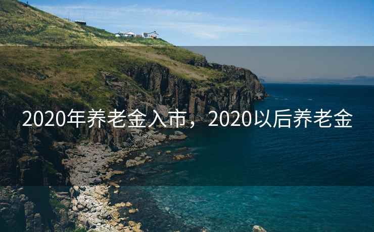2020年养老金入市，2020以后养老金