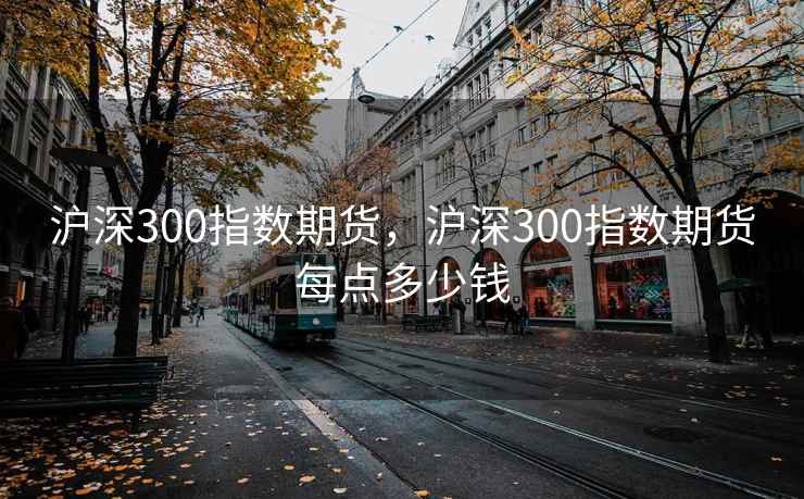 沪深300指数期货，沪深300指数期货每点多少钱