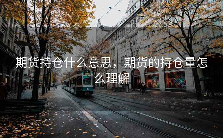 期货持仓什么意思，期货的持仓量怎么理解