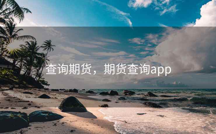 查询期货,期货查询app