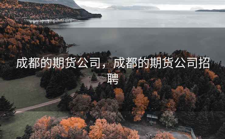 成都的期货公司，成都的期货公司招聘  第2张