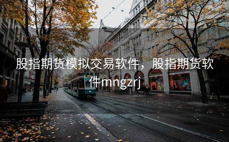 股指期货模拟交易软件，股指期货软件mngzrj