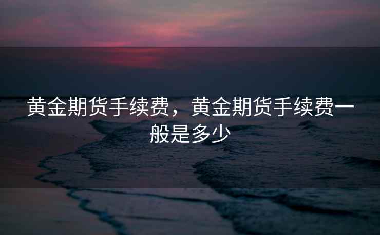 黄金期货手续费，黄金期货手续费一般是多少  第2张